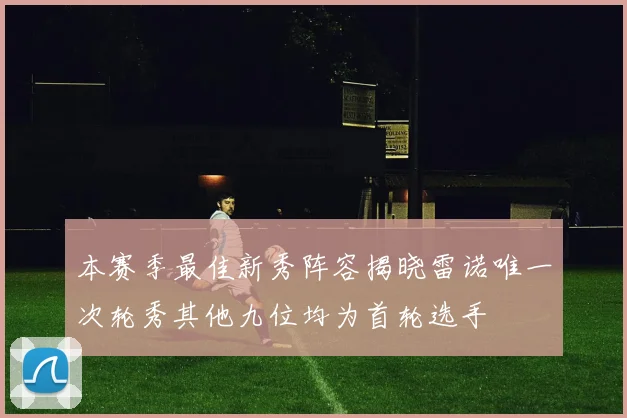 本赛季最佳新秀阵容揭晓雷诺唯一次轮秀其他九位均为首轮选手