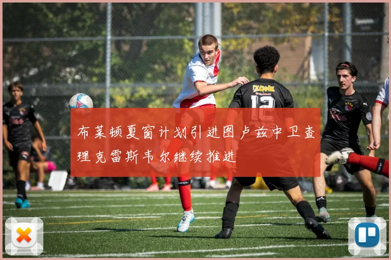 布莱顿夏窗计划引进图卢兹中卫查理克雷斯韦尔继续推进